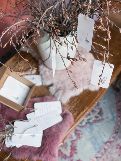 De Koester Box - sterretje ✨